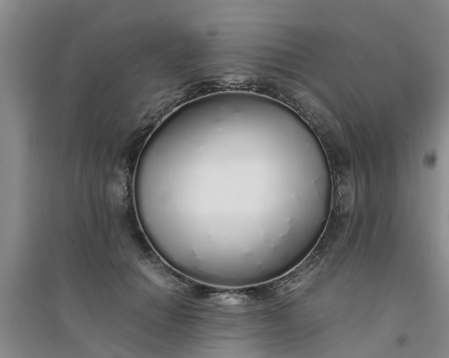 X0000094320654200711091342