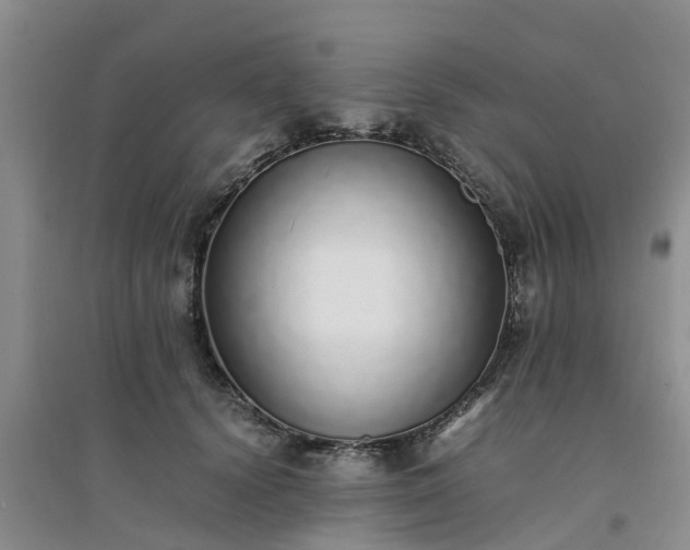 X0000094320656200711091342