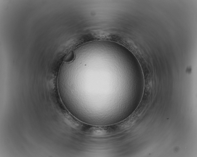X0000094320658200711091342