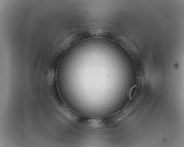 X0000094320660200711091343