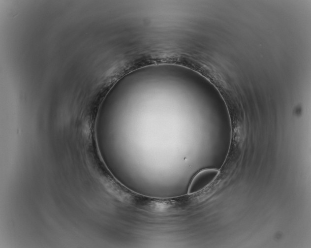 X0000094320662200711091343