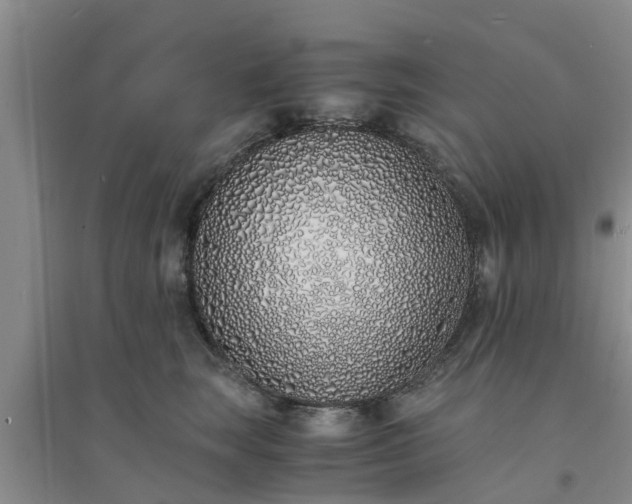 X0000094320663200711091343