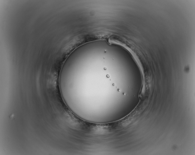 X0000094320664200711091343