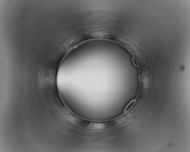 X0000094320665200711091343