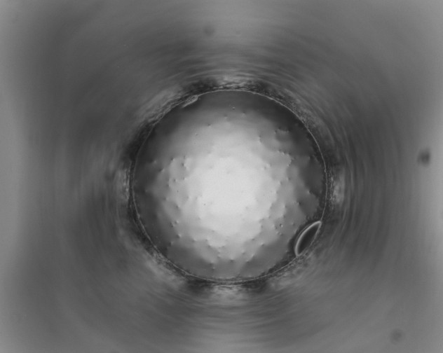 X0000094320666200711091343