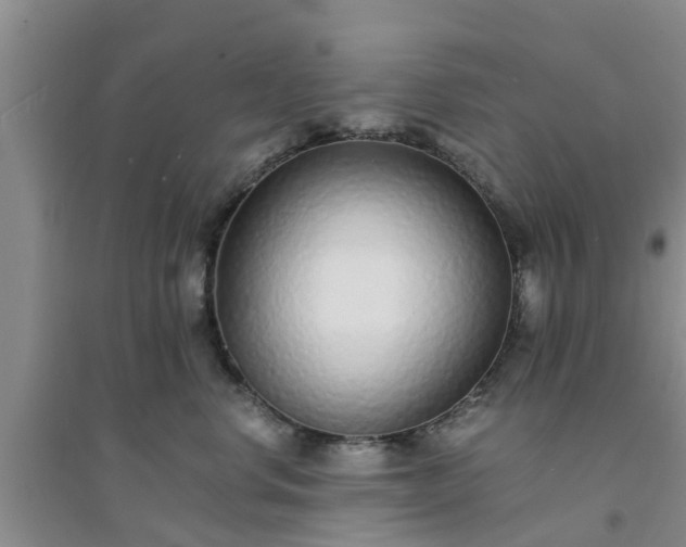 X0000094320668200711091343