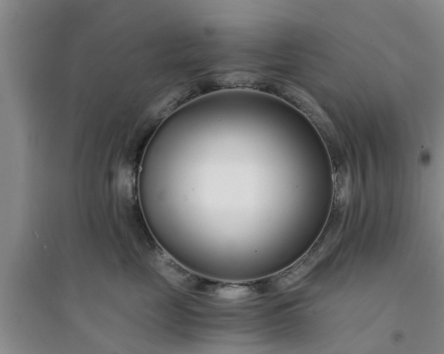 X0000094320669200711091343