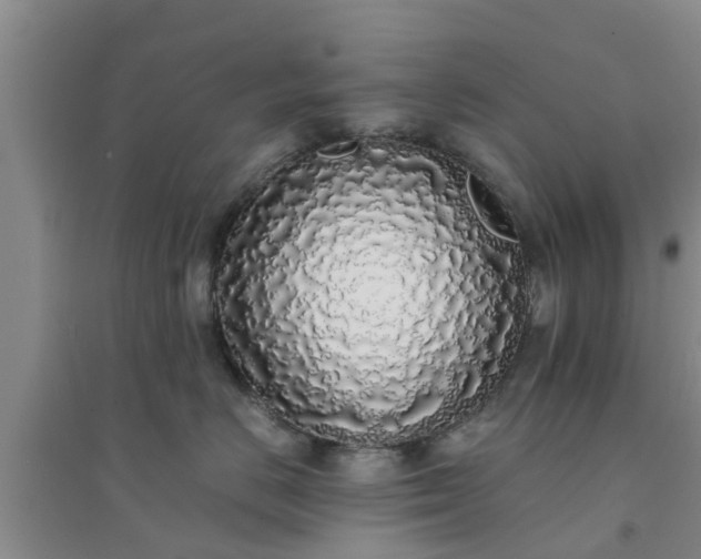 X0000094320670200711091343
