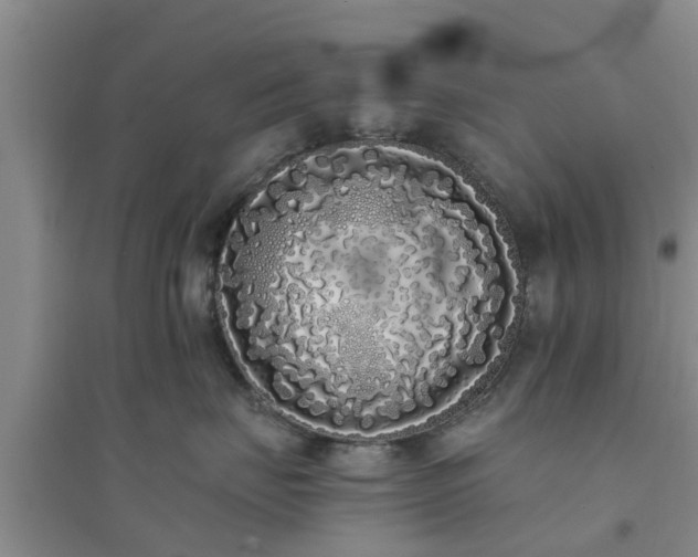 X0000094320671200711091343