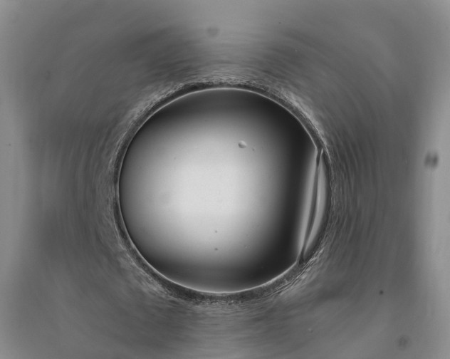 X0000094320673200711091342
