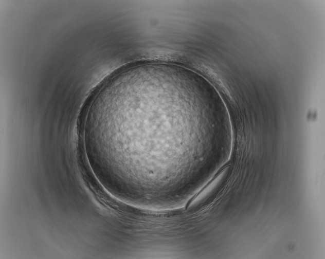 X0000094320674200711091342