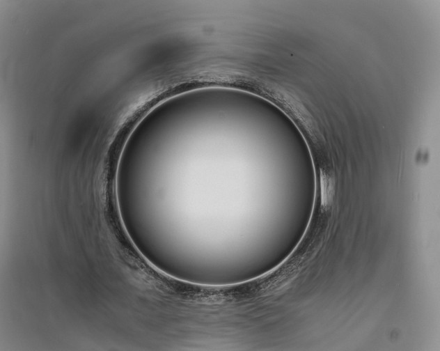 X0000094320675200711091342