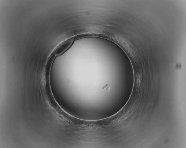 X0000094320676200711091342