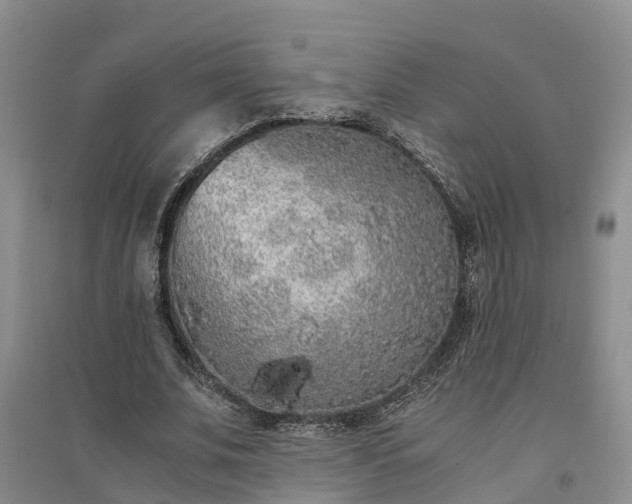 X0000094320679200711091342