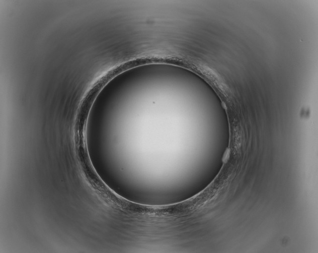 X0000094320680200711091342