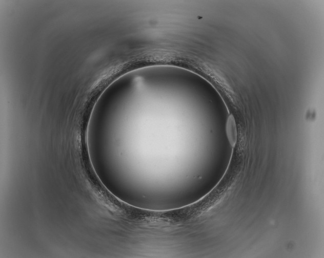 X0000094320681200711091342