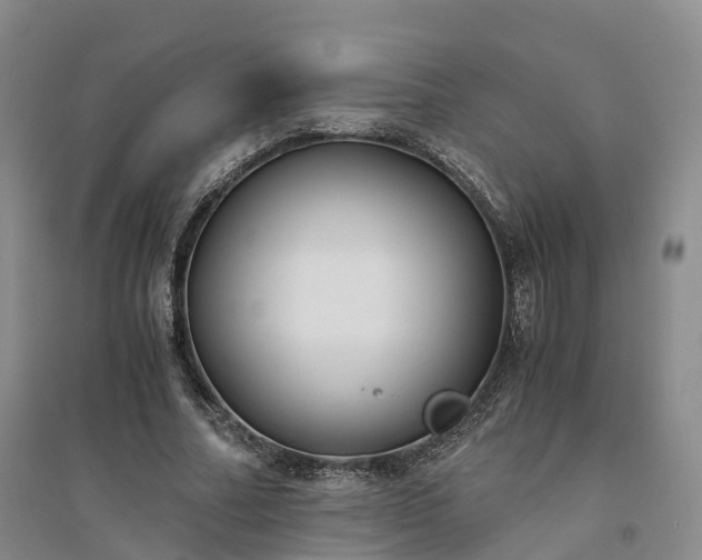 X0000094320682200711091342
