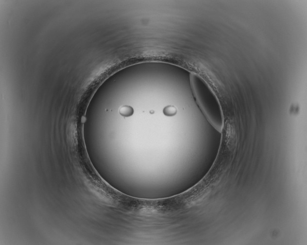 X0000094320684200711091342