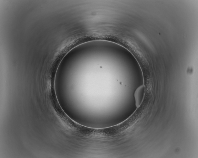 X0000094320685200711091342