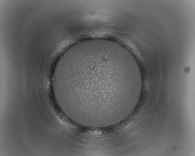 X0000094320687200711091342