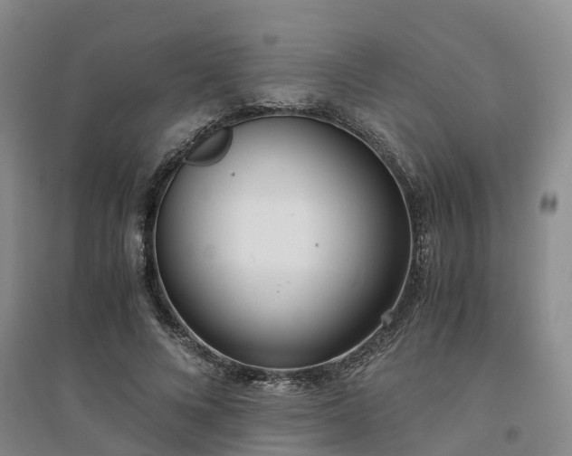 X0000094320688200711091342