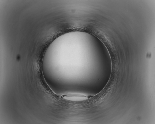 X0000094320689200711091342