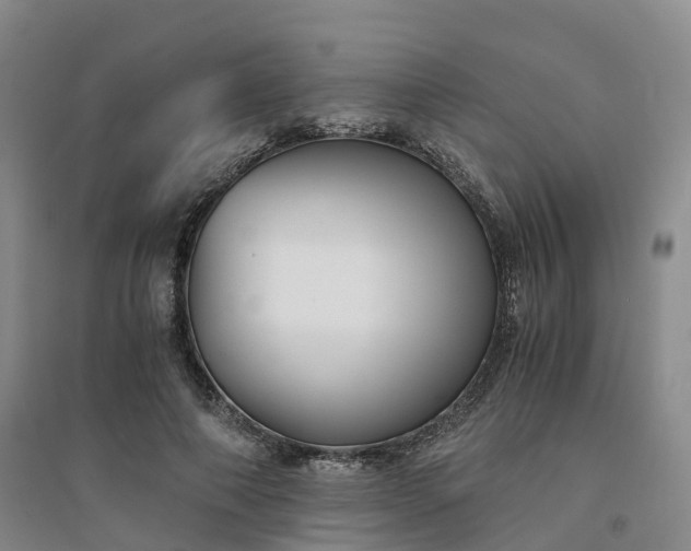 X0000094320690200711091342