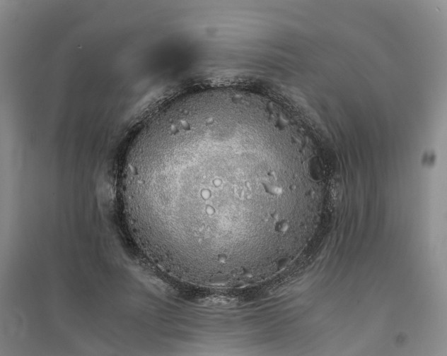 X0000094320691200711091342