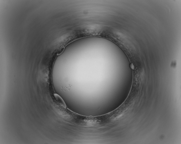 X0000094320693200711091342
