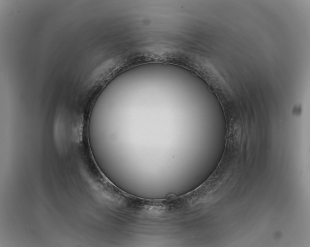 X0000094320694200711091342