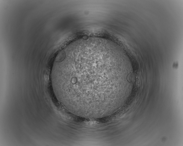 X0000094320695200711091342