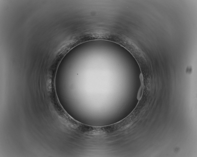 X0000094320696200711091342