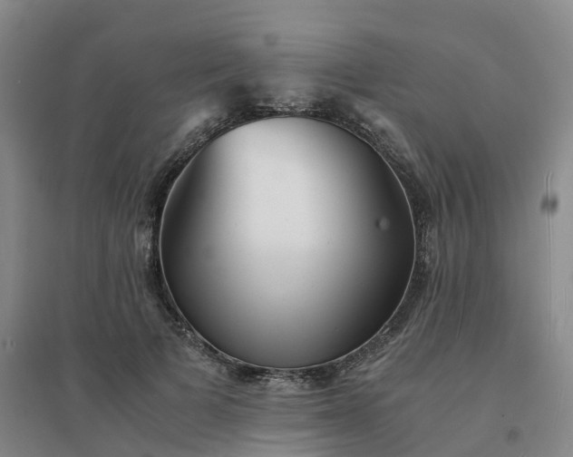 X0000094320697200711091342