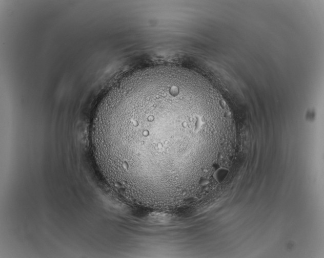 X0000094320699200711091342