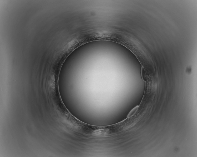 X0000094320700200711091342