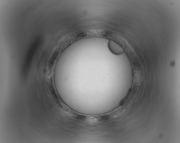 X0000094320701200711091342