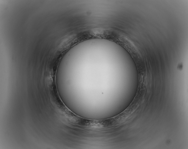 X0000094320702200711091342