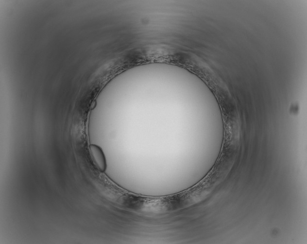 X0000094320705200711091342