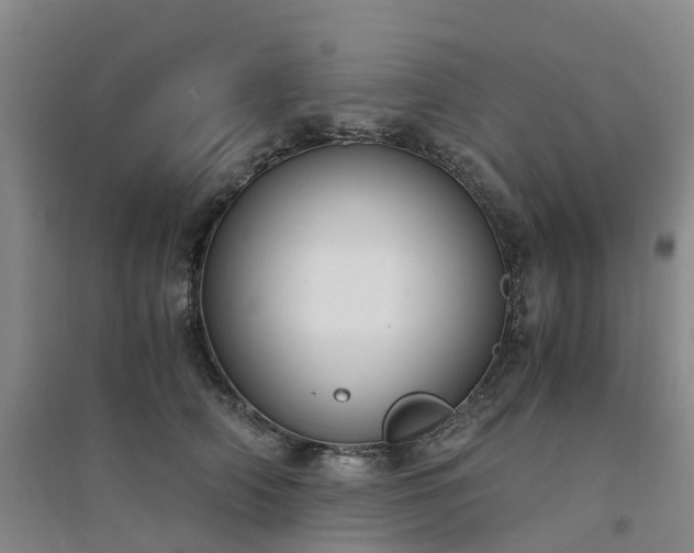 X0000094320706200711091342