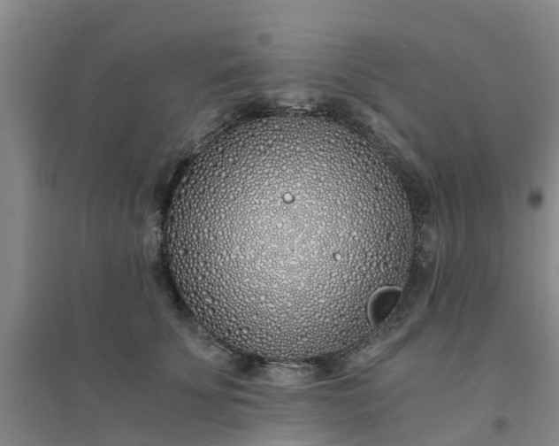 X0000094320707200711091342