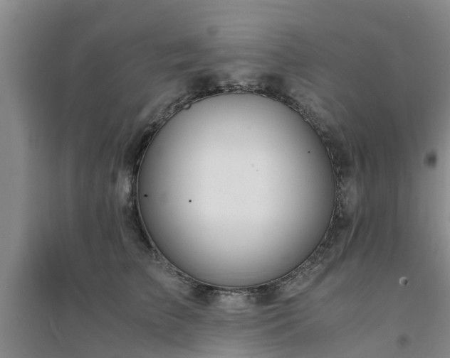 X0000094320709200711091342