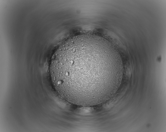X0000094320711200711091341