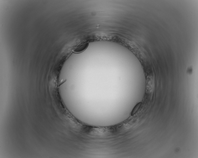X0000094320713200711091341