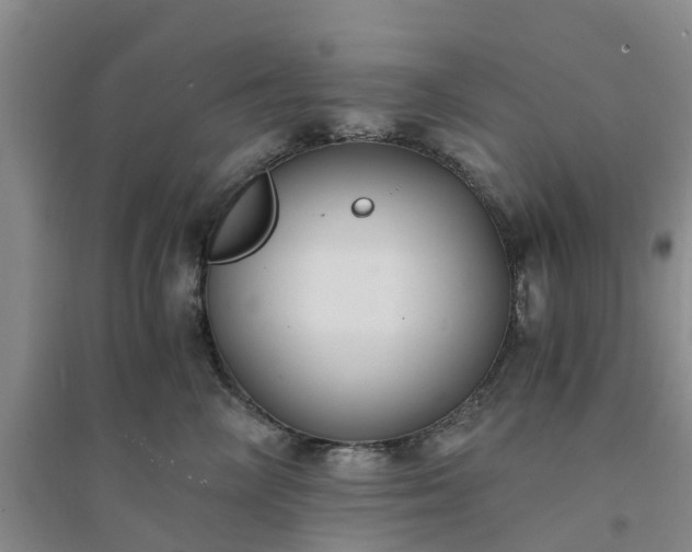 X0000094320714200711091341