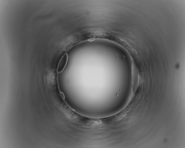 X0000094320715200711091341