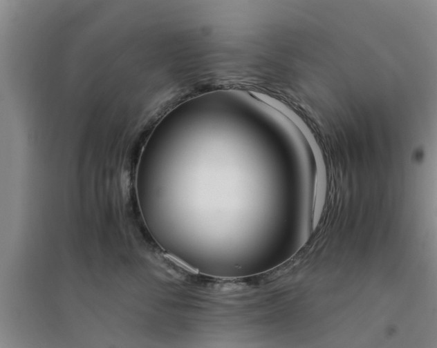 X0000094320716200711091341