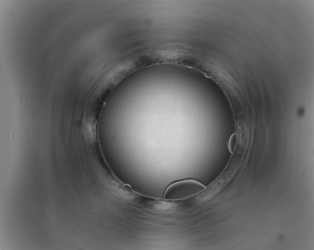 X0000094320718200711091341