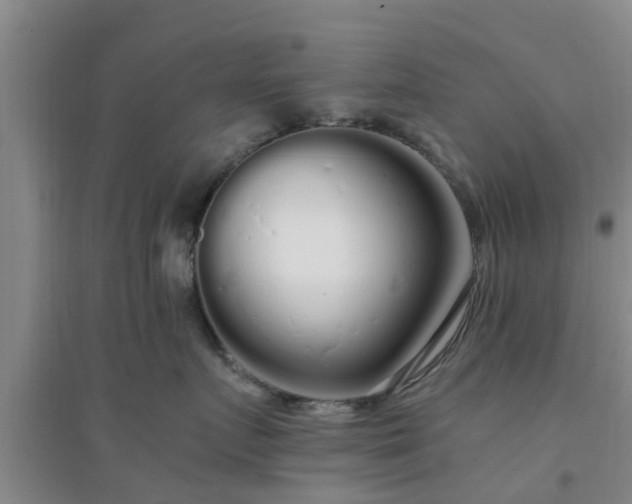 X0000094320719200711091341