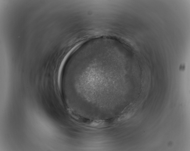 X0000094320720200711091341