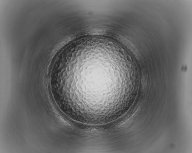 X0000094320721200711091341